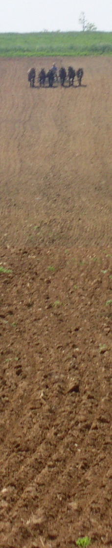 PICT0757.JPG
