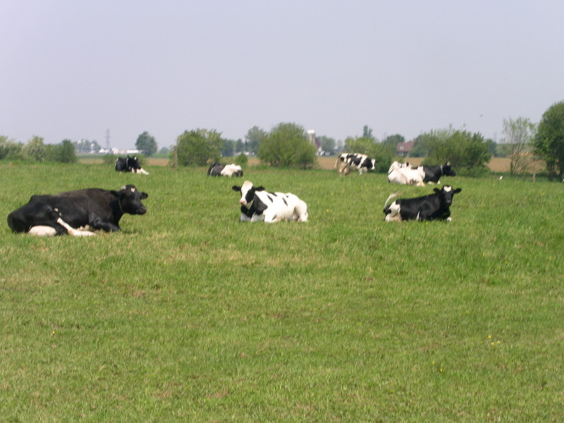 PICT0761.JPG