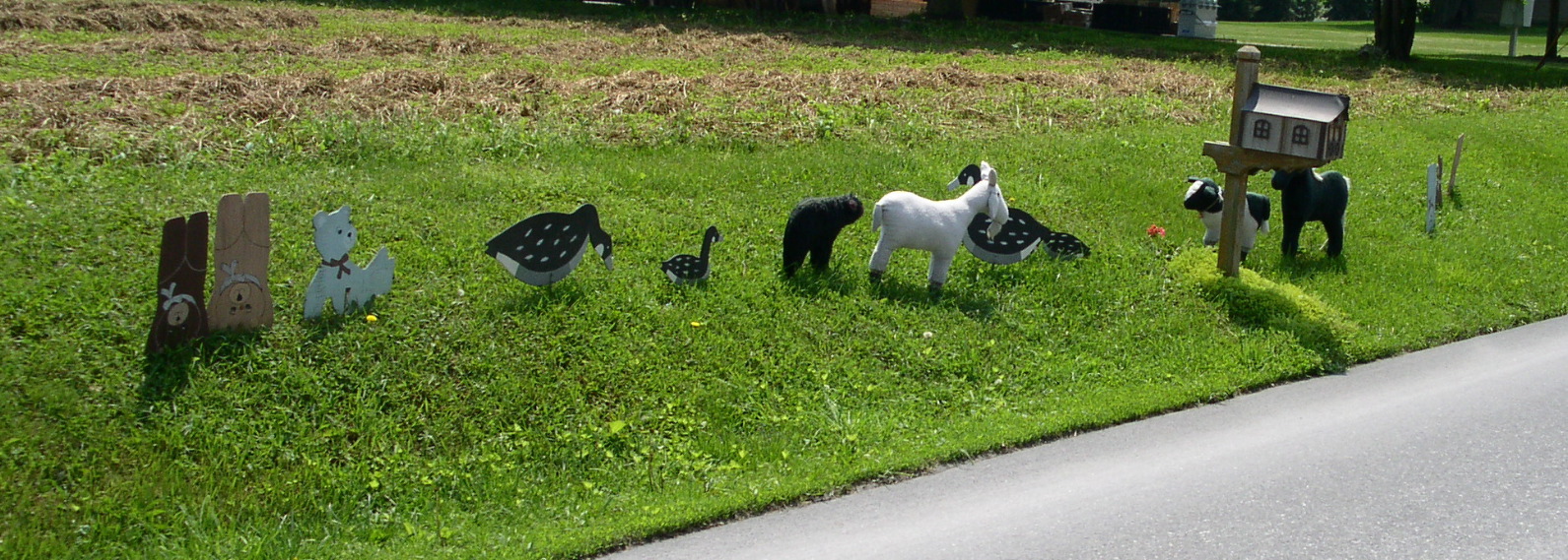 PICT0763.JPG