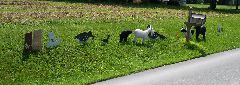 PICT0763.JPG