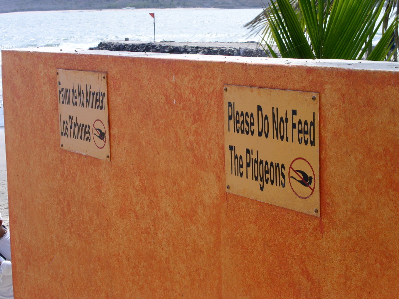 PICT0300.JPG